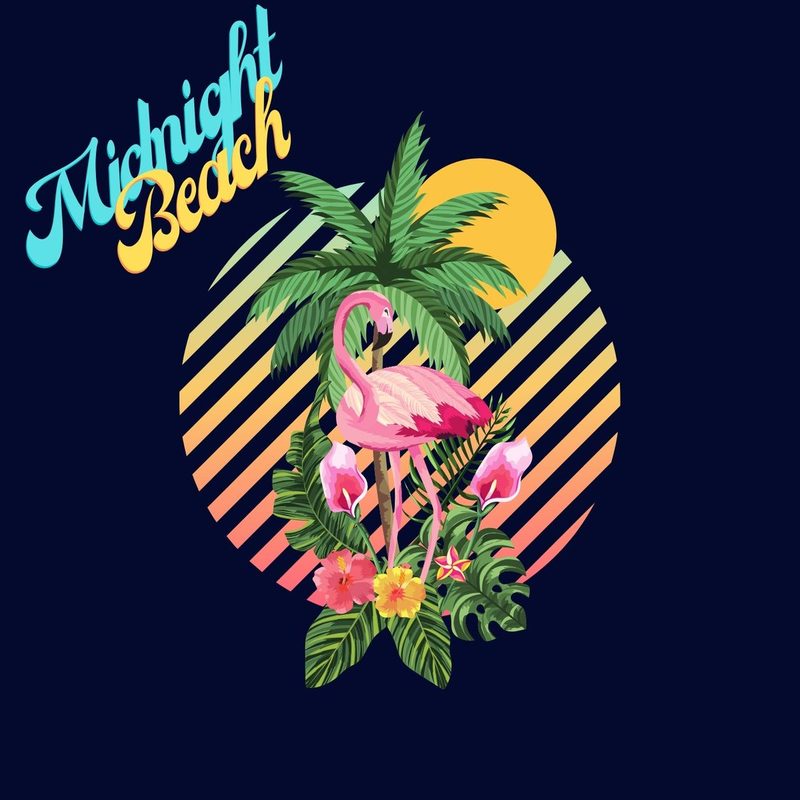 Album cover design — Midnight Beach, retro tropical flamingo with palm tree